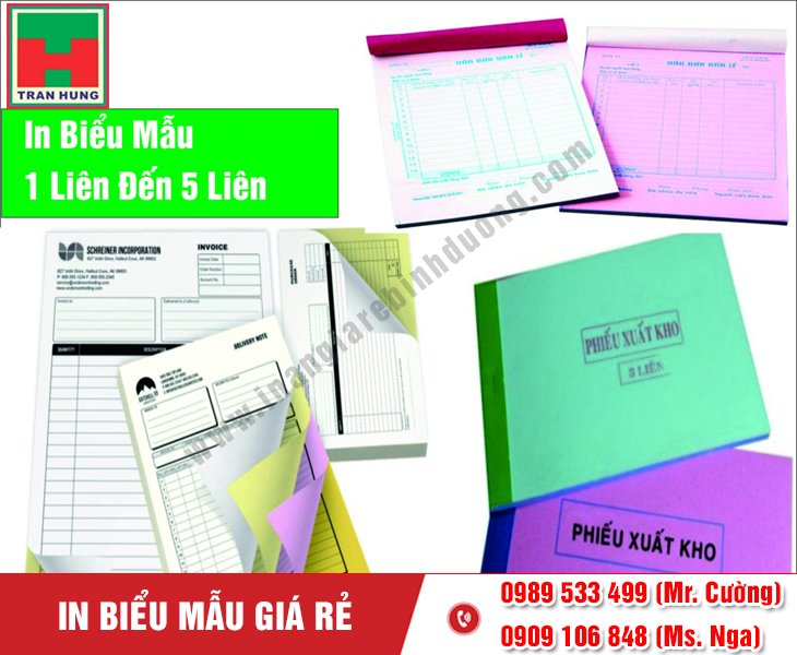 In Biểu Mẫu Giá Rẻ TPHCM (Bình Dương) | In Nhanh, Lấy Liền