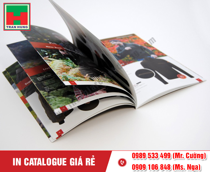 in-catalogue-lay-nhanh