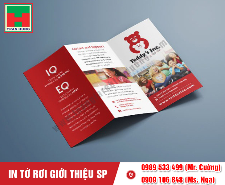 in-to-roi-gioi-thieu-san-pham